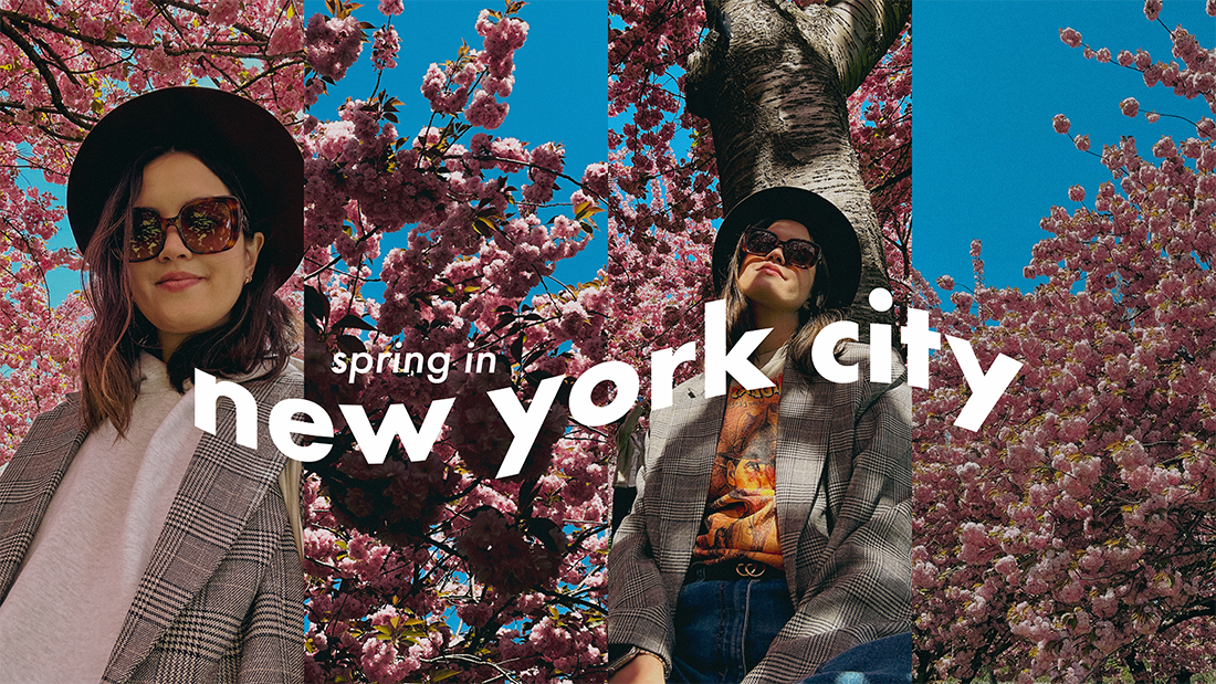 Spring in New York City: Cherry Blossoms at Brooklyn Botanic Garden
