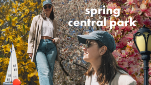 Central Park Spring Blooms Guide: Where to Find Cherry Blossoms, Magnolias & Spring Flowers in NYC